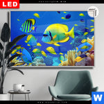 Leuchtbild Dia Tropische Unterwasserwelt Querformat Produktvorschau mit dem Bild Tropische Unterwasserwelt im Format Querformat.