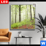 Leuchtbild Dia Unberuehrte Natur Der Wald Quadrat Produktvorschau mit dem Bild Unberührte Natur - Der Wald im Format Quadrat.