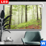 Leuchtbild Dia Unberuehrte Natur Der Wald Querformat Produktvorschau mit dem Bild Unberührte Natur - Der Wald im Format Querformat.