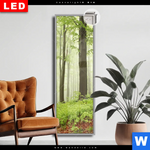 Leuchtbild Dia Unberuehrte Natur Der Wald Schmal Produktvorschau mit dem Bild Unberührte Natur - Der Wald im Format Schmal.