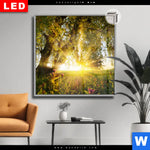 Leuchtbild Dia Unberuehrte Natur Quadrat Produktvorschau mit dem Bild Unberührte Natur im Format Quadrat.