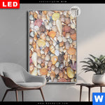 Leuchtbild Dia Viele Muscheln Hochformat Produktvorschau mit dem Bild Viele Muscheln im Format Hochformat.