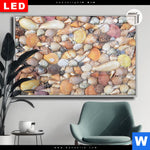 Leuchtbild Dia Viele Muscheln Querformat Produktvorschau mit dem Bild Viele Muscheln im Format Querformat.