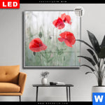 Leuchtbild Dia Vintage Klatschmohn Quadrat Produktvorschau mit dem Bild Vintage Klatschmohn im Format Quadrat.