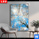 Leuchtbild Dia Wald Im Winter Hochformat Produktvorschau mit dem Bild Wald im Winter im Format Hochformat.