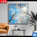 Leuchtbild Dia Wald Im Winter Quadrat Produktvorschau mit dem Bild Wald im Winter im Format Quadrat.