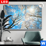 Leuchtbild Dia Wald Im Winter Querformat Produktvorschau mit dem Bild Wald im Winter im Format Querformat.