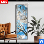 Leuchtbild Dia Wald Im Winter Schmal Produktvorschau mit dem Bild Wald im Winter im Format Schmal.