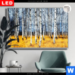 Leuchtbild Dia Wald Mit Birkenbaeumen Querformat Produktvorschau mit dem Bild Wald mit Birkenbäumen im Format Querformat.