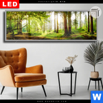 Leuchtbild Dia Waldbach Im Sonnenschein Panorama Produktvorschau mit dem Bild Waldbach im Sonnenschein im Format Panorama.