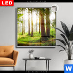 Leuchtbild Dia Waldbach Im Sonnenschein Quadrat Produktvorschau mit dem Bild Waldbach im Sonnenschein im Format Quadrat.