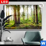 Leuchtbild Dia Waldbach Im Sonnenschein Querformat Produktvorschau mit dem Bild Waldbach im Sonnenschein im Format Querformat.