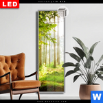 Leuchtbild Dia Waldbach Im Sonnenschein Schmal Produktvorschau mit dem Bild Waldbach im Sonnenschein im Format Schmal.