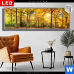Leuchtbild Dia Waldlandschaft Im Herbst Panorama Produktvorschau mit dem Bild Waldlandschaft im Herbst im Format Panorama.
