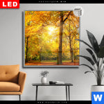 Leuchtbild Dia Waldlandschaft Im Herbst Quadrat Produktvorschau mit dem Bild Waldlandschaft im Herbst im Format Quadrat.