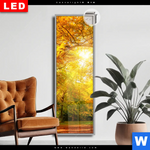 Leuchtbild Dia Waldlandschaft Im Herbst Schmal Produktvorschau mit dem Bild Waldlandschaft im Herbst im Format Schmal.