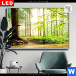 Leuchtbild Dia Waldpanorama Querformat Produktvorschau mit dem Bild Waldpanorama im Format Querformat.