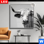 Leuchtbild Dia Weisser Bulle Quadrat Produktvorschau mit dem Bild Weisser Bulle im Format Quadrat.