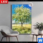 Leuchtbild Dia Wiese Mit Bluehendem Baum Hochformat Produktvorschau mit dem Bild Wiese mit blühendem Baum im Format Hochformat.