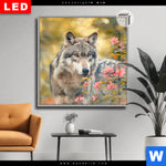 Leuchtbild Dia Wolfsblick Im Fruehling Quadrat Produktvorschau mit dem Bild Wolfsblick im Frühling im Format Quadrat.