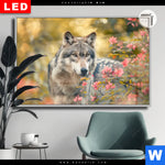 Leuchtbild Dia Wolfsblick Im Fruehling Querformat Produktvorschau mit dem Bild Wolfsblick im Frühling im Format Querformat.