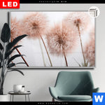 Leuchtbild Dia Zarte Pusteblume Querformat Produktvorschau mit dem Bild Zarte Pusteblume im Format Querformat.