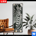 Leuchtbild Dia Zebra Eleganz In Streifen Schmal Produktvorschau mit dem Bild Zebra - Eleganz in Streifen im Format Schmal.