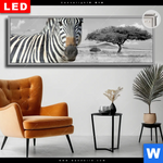 Leuchtbild Dia Zebra In Afrika Panorama Produktvorschau mit dem Bild Zebra in Afrika im Format Panorama.