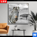 Leuchtbild Dia Zebra In Afrika Quadrat Produktvorschau mit dem Bild Zebra in Afrika im Format Quadrat.