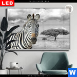 Leuchtbild Dia Zebra In Afrika Querformat Produktvorschau mit dem Bild Zebra in Afrika im Format Querformat.