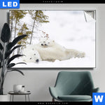 Leuchtbild Eisbaerenfamilie In Winterlicher Landschaft Querformat Produktvorschau mit dem Bild Eisbärenfamilie in winterlicher Landschaft im Format Querformat.