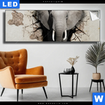 Leuchtbild Elefant Bricht Durch Mauer Panorama Produktvorschau mit dem Bild Elefant bricht durch Mauer im Format Panorama.