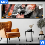 Leuchtbild Elefant Savannenzauber In Afrika Panorama Produktvorschau mit dem Bild Elefant - Savannenzauber in Afrika im Format Panorama.