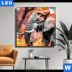 Leuchtbild Elefant Savannenzauber In Afrika Quadrat Produktvorschau mit dem Bild Elefant - Savannenzauber in Afrika im Format Quadrat.