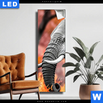 Leuchtbild Elefant Savannenzauber In Afrika Schmal Produktvorschau mit dem Bild Elefant - Savannenzauber in Afrika im Format Schmal.