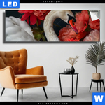 Leuchtbild Eleganter Schwan Mit Blumen Panorama Produktvorschau mit dem Bild Eleganter Schwan mit Blumen im Format Panorama.