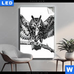 Leuchtbild Eule Auf Ast Hochformat Produktvorschau mit dem Bild Eule auf Ast im Format Hochformat.