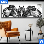 Leuchtbild Eule Auf Ast Panorama Produktvorschau mit dem Bild Eule auf Ast im Format Panorama.