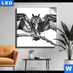 Leuchtbild Eule Auf Ast Quadrat Produktvorschau mit dem Bild Eule auf Ast im Format Quadrat.