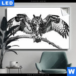 Leuchtbild Eule Auf Ast Querformat Produktvorschau mit dem Bild Eule auf Ast im Format Querformat.