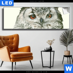 Leuchtbild Eule Wald No 1 Panorama Produktvorschau mit dem Bild Eule & Wald No.1 im Format Panorama.