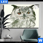 Leuchtbild Eule Wald No 1 Querformat Produktvorschau mit dem Bild Eule & Wald No.1 im Format Querformat.