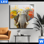 Leuchtbild Farbenexplosion Mit Elefant Quadrat Produktvorschau mit dem Bild Farbenexplosion mit Elefant im Format Quadrat.