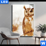 Leuchtbild Federkleid Trifft Bluetenpracht Hochformat Produktvorschau mit dem Bild Federkleid trifft Blütenpracht im Format Hochformat.