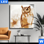 Leuchtbild Federkleid Trifft Bluetenpracht Quadrat Produktvorschau mit dem Bild Federkleid trifft Blütenpracht im Format Quadrat.