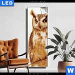 Leuchtbild Federkleid Trifft Bluetenpracht Schmal Produktvorschau mit dem Bild Federkleid trifft Blütenpracht im Format Schmal.