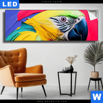 Leuchtbild Federn Papagei Panorama Produktvorschau mit dem Bild Federn Papagei im Format Panorama.