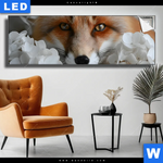 Leuchtbild Friedlicher Fuchs Und Blumen Panorama Produktvorschau mit dem Bild Friedlicher Fuchs und Blumen im Format Panorama.
