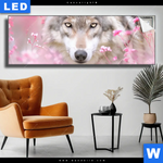 Leuchtbild Friedlicher Wolf Panorama Produktvorschau mit dem Bild Friedlicher Wolf im Format Panorama.
