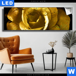 Leuchtbild Goldene Rose Panorama Produktvorschau mit dem Bild Goldene Rose im Format Panorama.